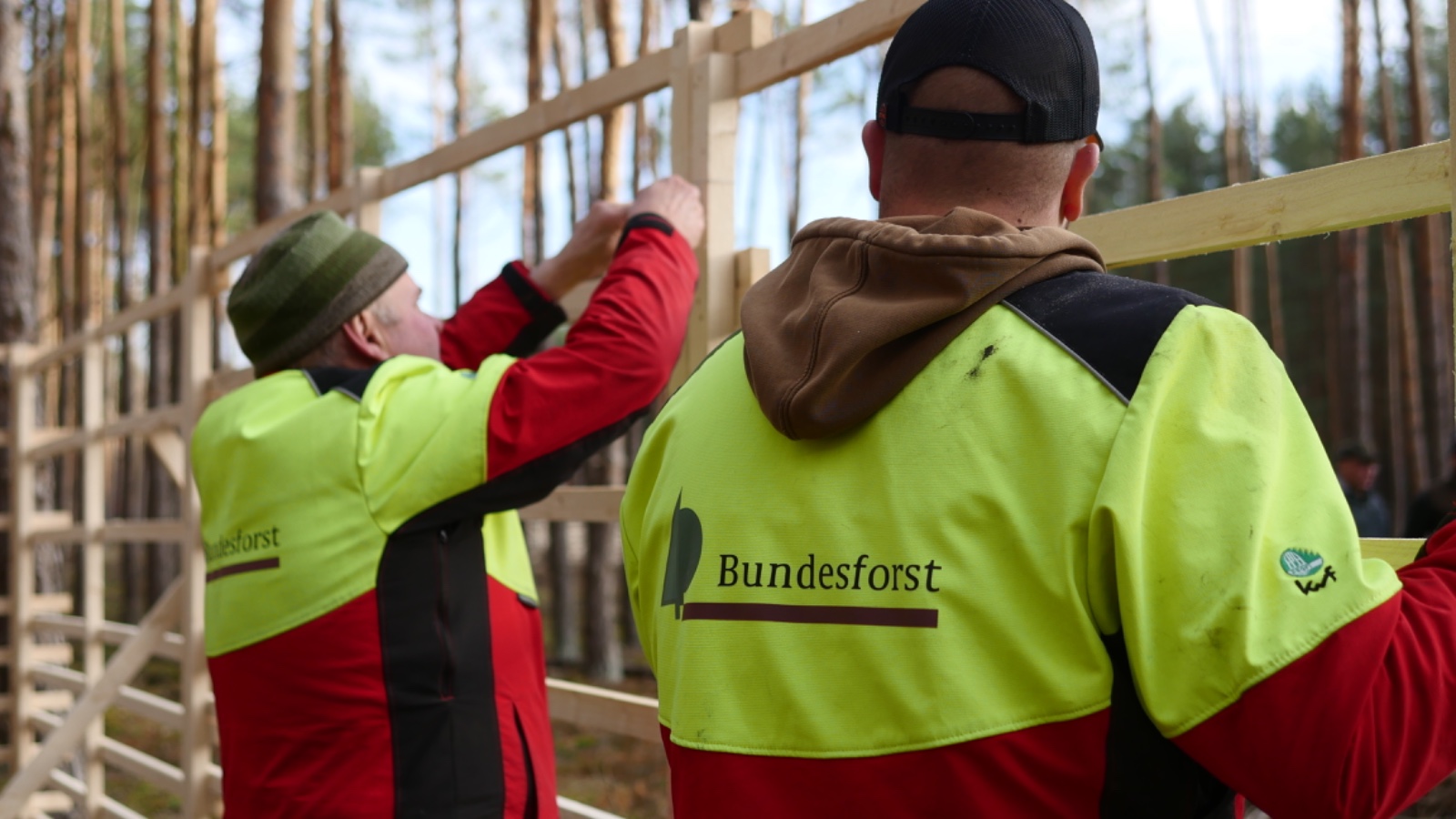 Hordengatter Holz Wildschutzzaun hordengatter-shop.de im wald bundesforst