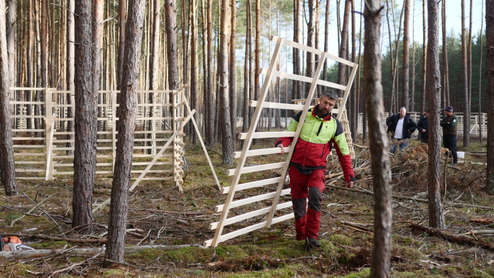 Hordengatter Holz Wildschutzzaun hordengatter-shop.de im wald transport tragen leicht